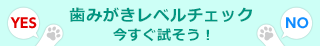 今すぐはじめよう！歯磨きレベルチェック