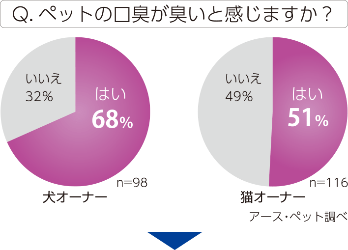 ペットの口臭が臭いと感じますか？