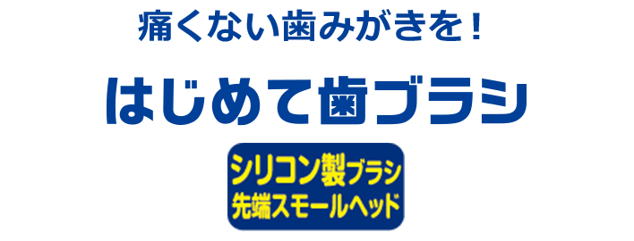 エブリデント はじめて歯ブラシ（スモール、レギュラー）