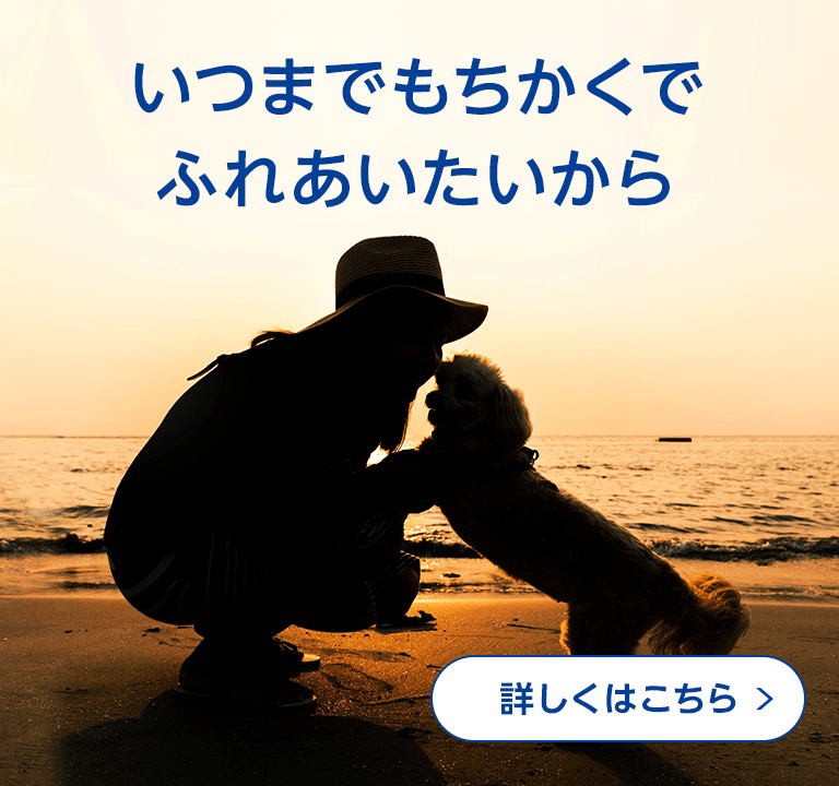 いつまでもちかくでふれあいたいから「製品コンセプト」