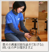 愛犬の興奮状態を鎮めてあげると飼い主の声が届きますよ