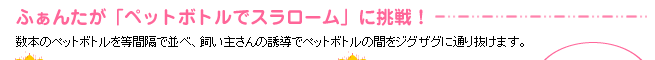 ふぁんたが「ペットボトルでスラローム」に挑戦！