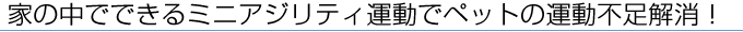 家の中でできるミニアジリティ運動でペットの運動不足解消！