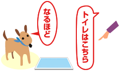 トイレのしつけ 成犬編 お役立ち情報 アース ペット株式会社