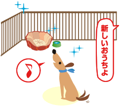 子犬 トイレ の しつけ