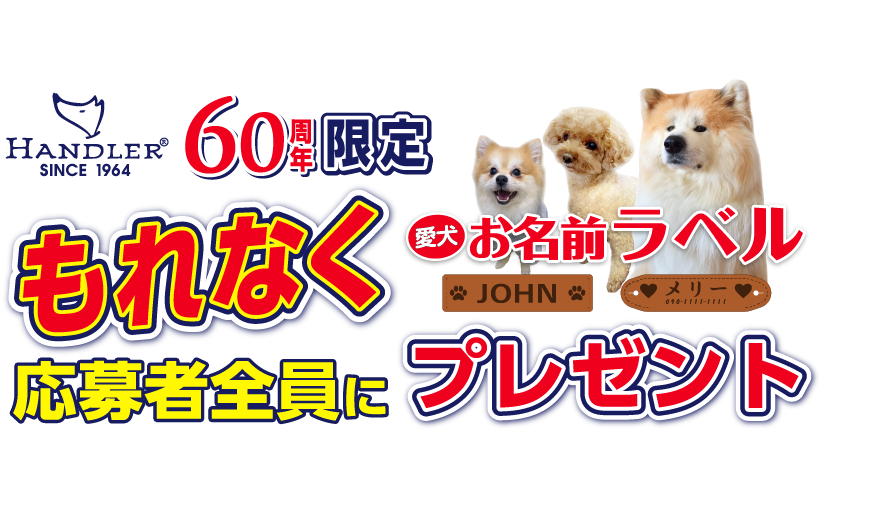 トップバナー