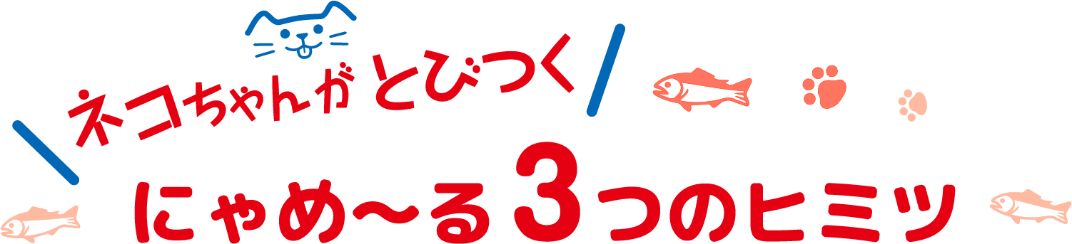 ネコちゃんがとびつくにゃめ～る 3つのヒミツ