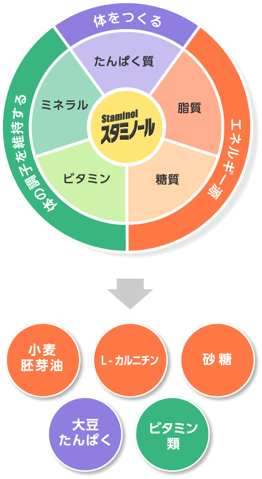 小麦胚芽油 L-カルニチン 砂糖 大豆たんぱく ビタミン類