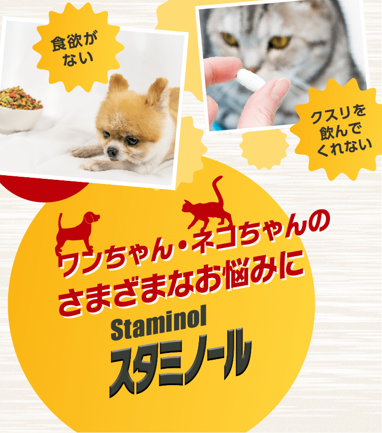 愛され続けるロングセラー やさしい甘さで飛びつくおいしさ！ Staminol スタミノール 栄養補給ペースト