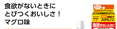 食欲がないときにとびつくおいしさ！マグロ味